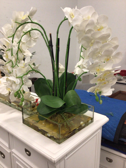 White Orchid Arrangement In Glass Planter