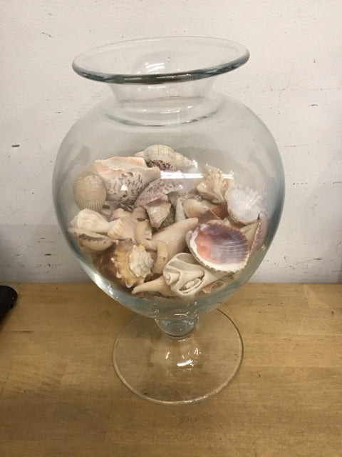 11.5" Glass Hurricane W/Shells