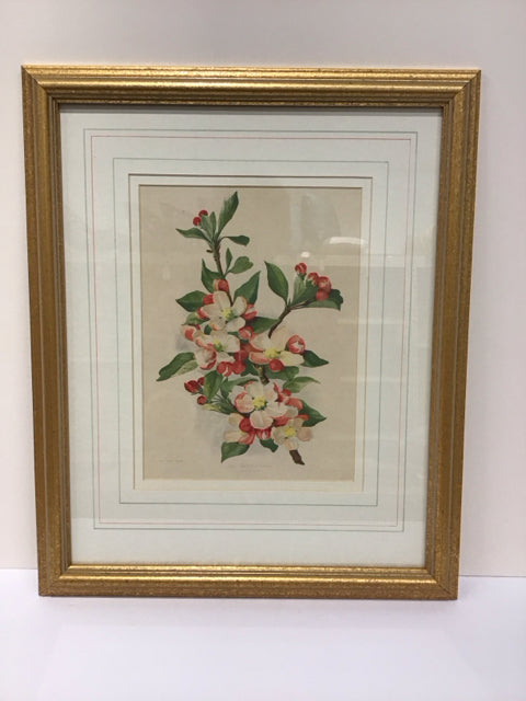 16x19 Framed "The Chinese Crab"