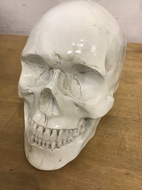 8" Halloween White Skull