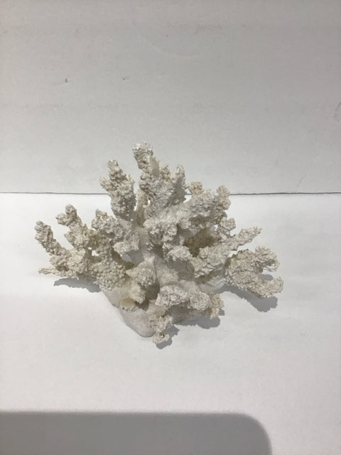 6" Faux White Finger Coral