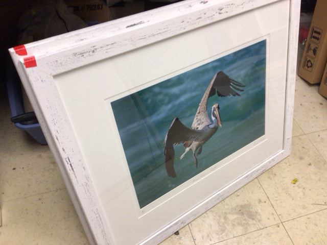 31" X 25" George Rhodes White Framed  Pelican Print