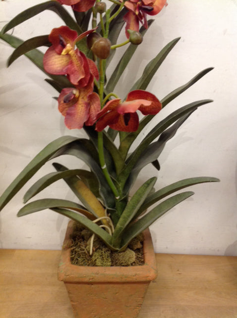 26" Orange Orchids In Planter