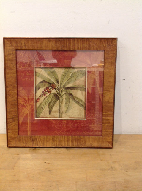 14.5" Framed "Royal Palm III"