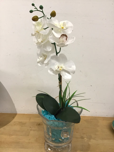 25" White Orchid In Glass Footed Urn W/Beads