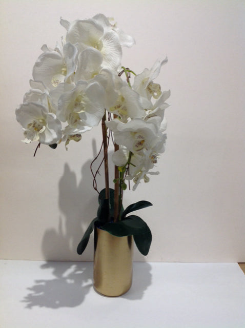 White Orchids in Gold Metal Cylinder