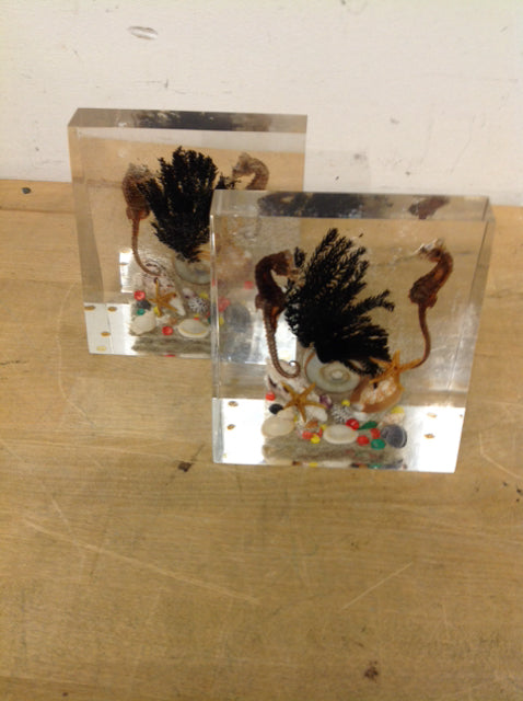 5" Pair Of Lucite Sea Life Bookends