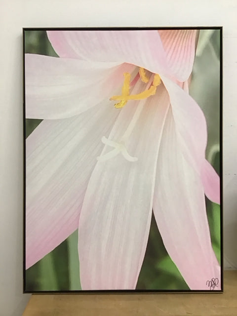 31"x41" Pink Crinum Lily Art Print