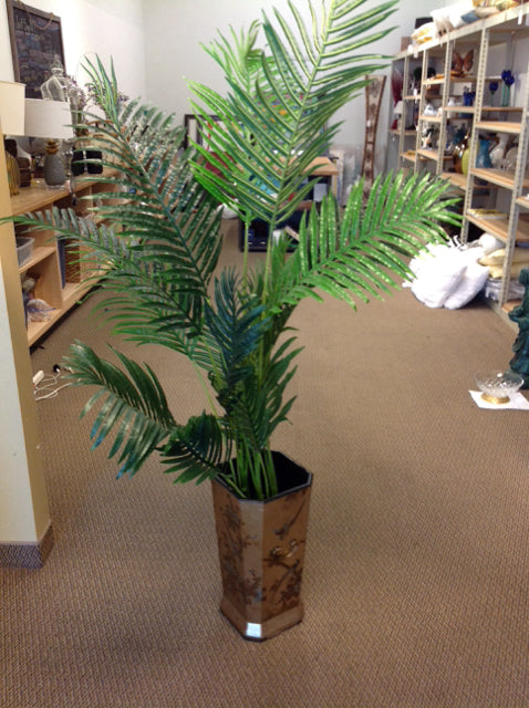 6' Parlor Palm in Gold Wood Chinoiserie Planter