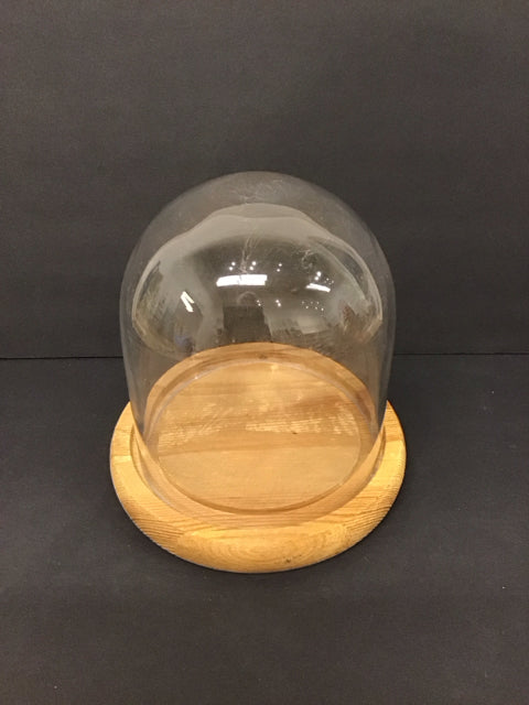 7" Glass Cloche on Wood Stand