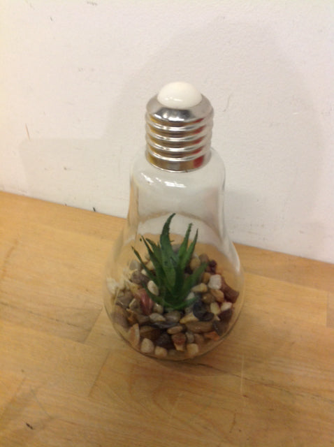 8" Aloe Plant In Glass Lightbulb