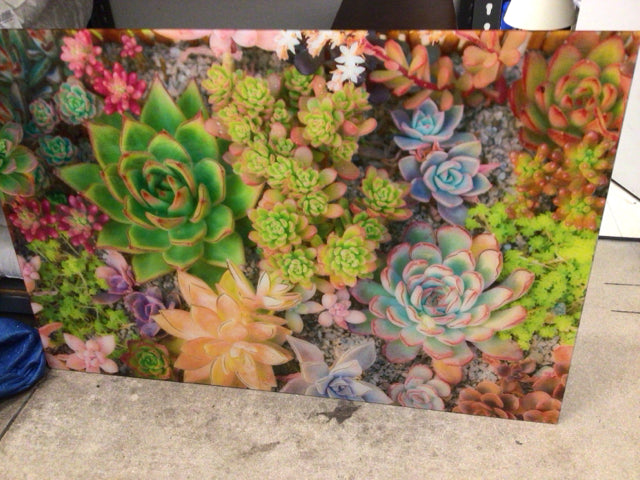 60" X 40" Acrylic Succulent Art