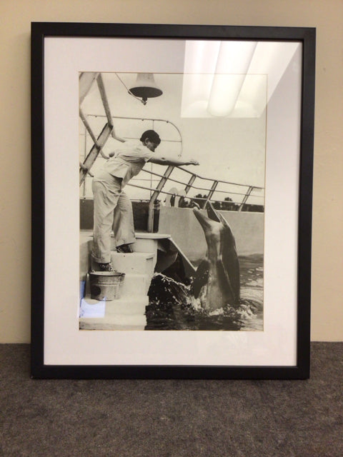 29 1/2" X 23 1/2" Dolphin Show Black Framed Print
