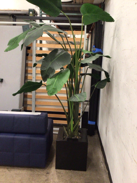 8.5" Faux Birds Of Paradise In Planter