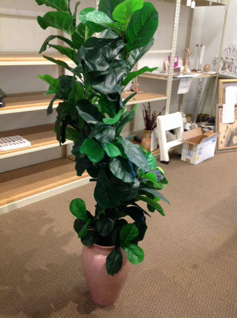 5' Leaf Fig Plant in Marbled Pink Ceramic Vase