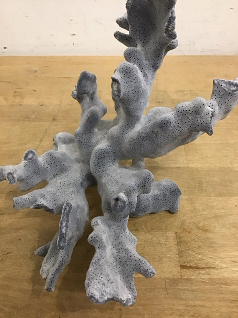 8"x8" Blue Ridge Coral