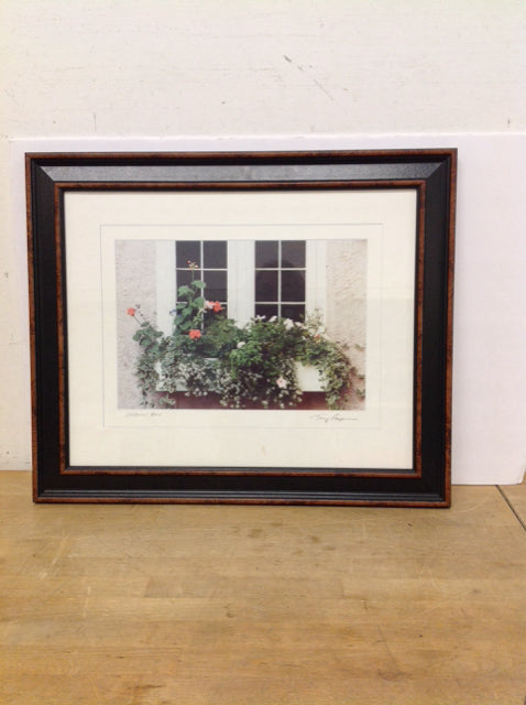 24x20" Framed "Window Box" Signed Photograph