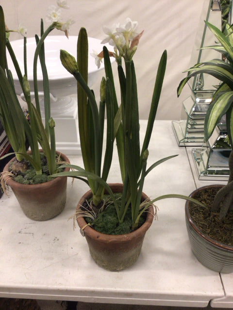 Faux Potted Plant In Ceramic Planter