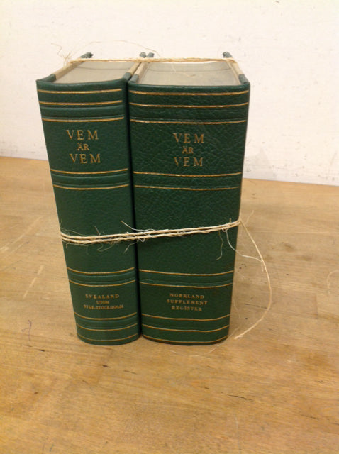 Set Of 2 Decorative Books