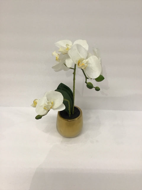 14" Faux Orchids in Gold Planter