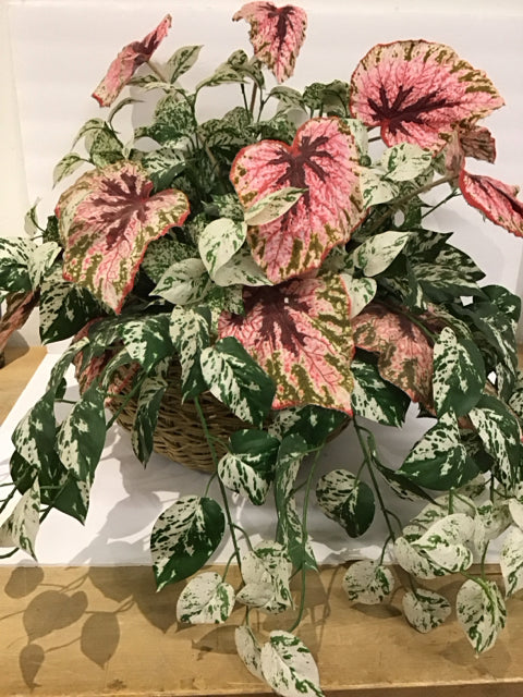 Pink/Green Caladiums Rd Plastic Wicker Basket