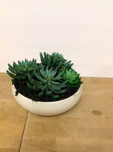 10" Ceramic Bowl w/Faux Succulents