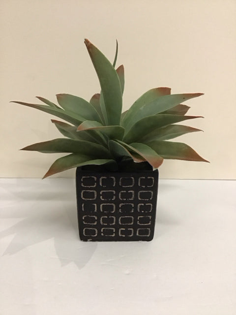 Faux Succulent Sq Black Planter
