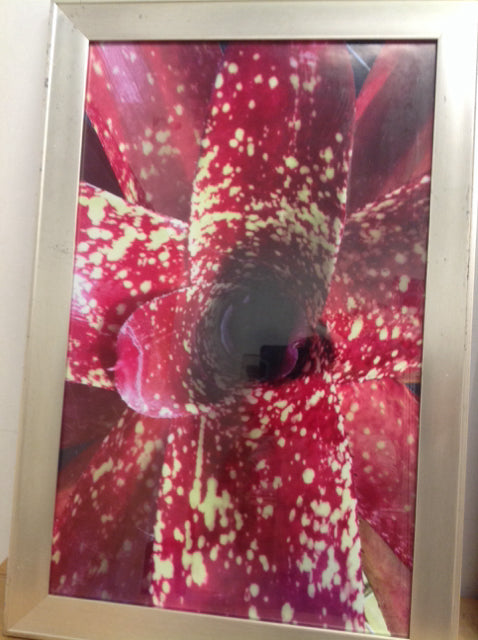 24" X 35" Red Tropical Flower