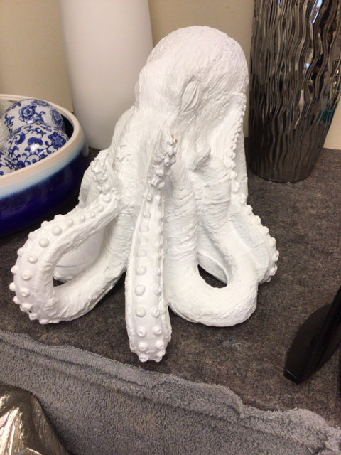 White Casted Octopus