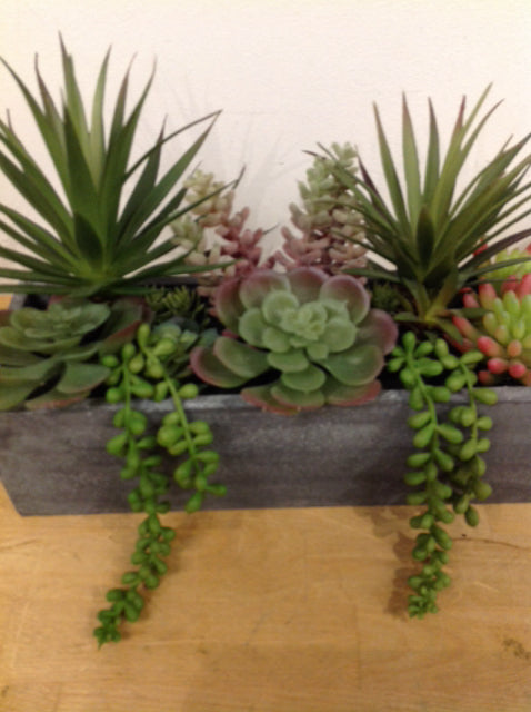 12" Succulents In Grey Planter