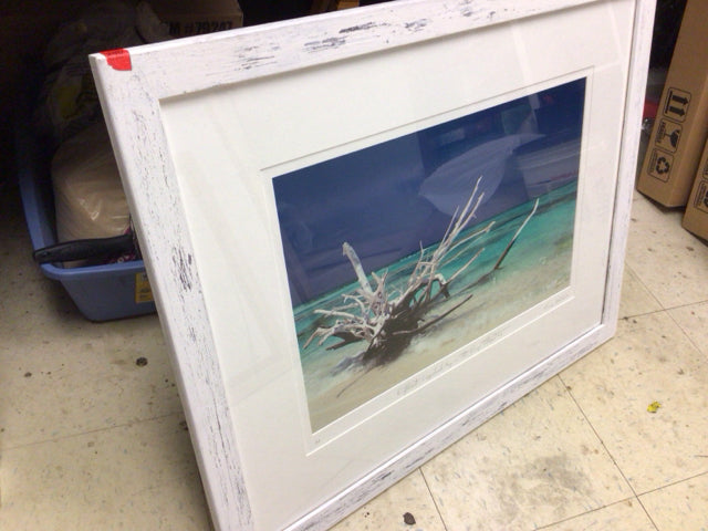 31" X 25" George Rhodes White Framed Driftwood Print