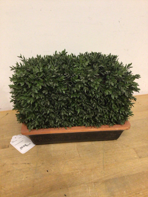 Faux Boxwood Planter