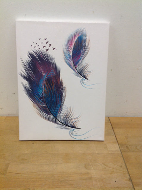 12x16 Feather Canvas Print