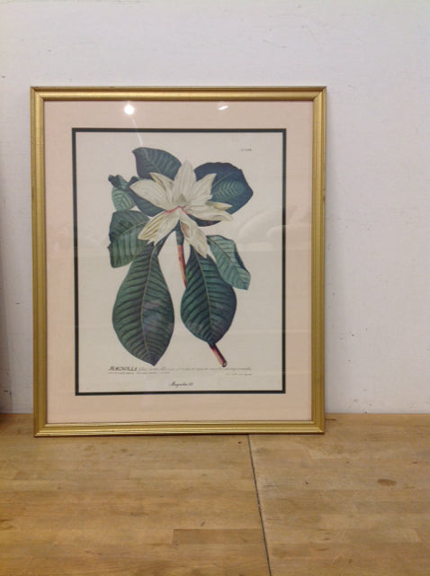 27x32 Framed "Magnolia 62" Print