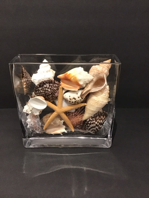 8" Rectangular Glass Vase w/Sea Shells