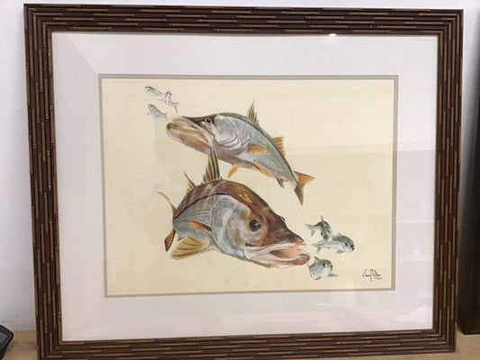 33"x28" Snook Fish Signed