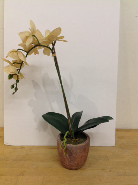 19" Clay Bowl w/Faux Orchids