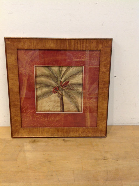 14.5" Framed "Royal Palm IV"