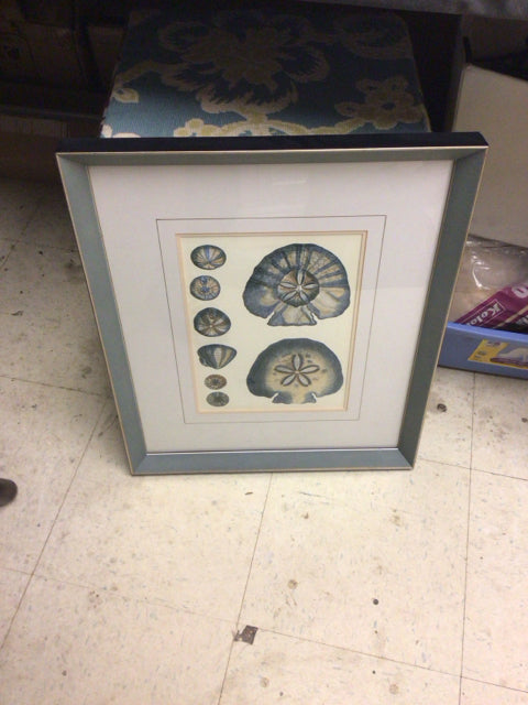 17 1/2" X 21" Black & Grey Framed Shell Print