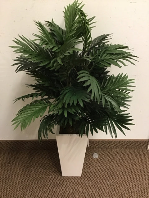 42" Silk Palm In White Wood Planter