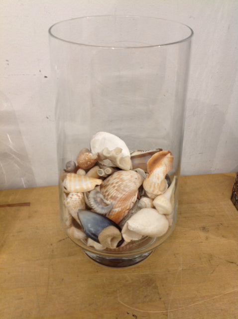 Vase- 12" Clear Glass W Shells