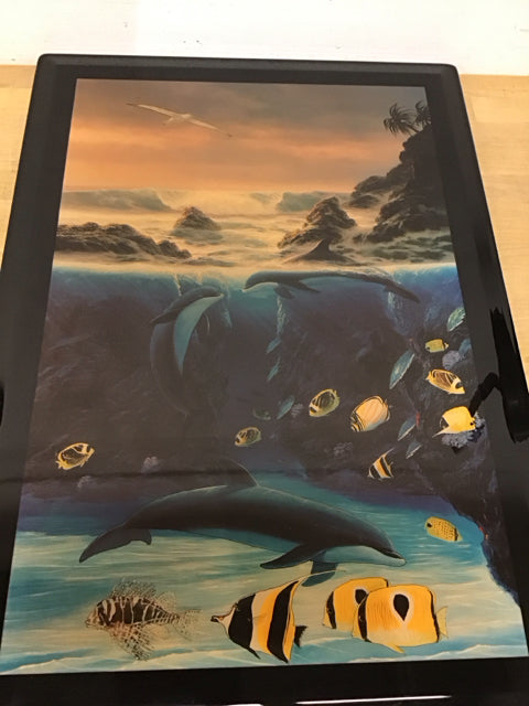 27.5"x20" Wyland "Ocean Trilogy"Acrylic Art