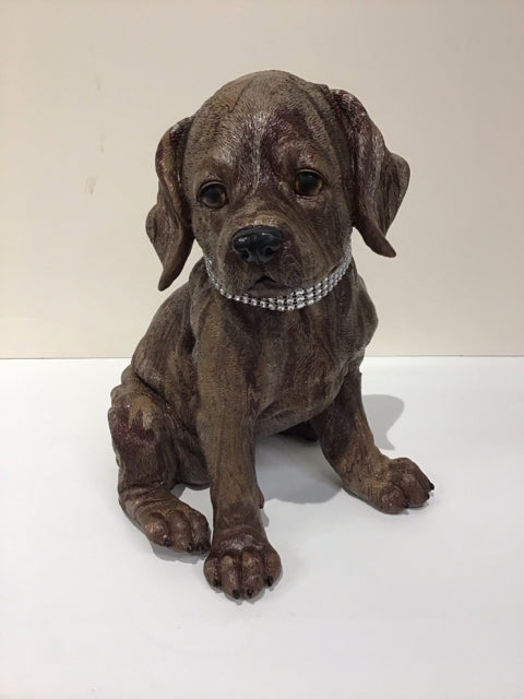 10x12 Big Dog By Susan David