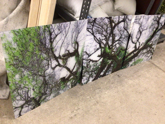 Tree Acrylic Triptych