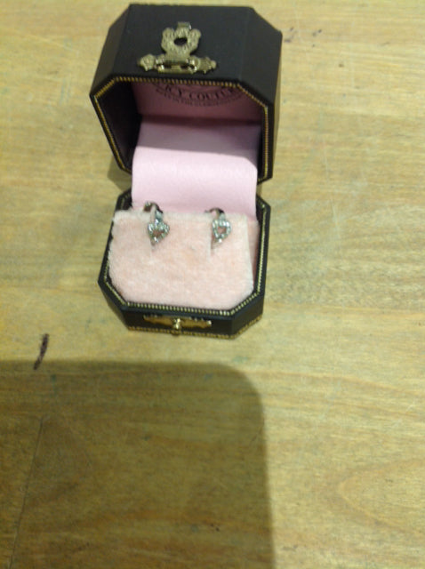 Earrings- Juicy Couture Stone Heart