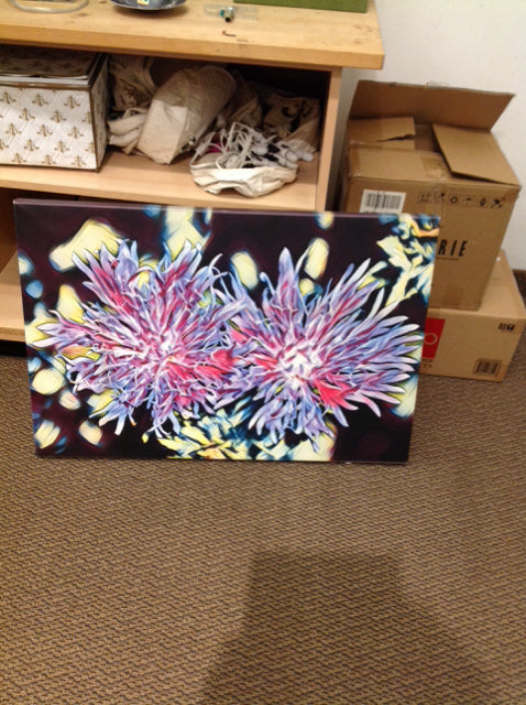 35x23.5 Gallery Wrapped Flower Print on Canvas