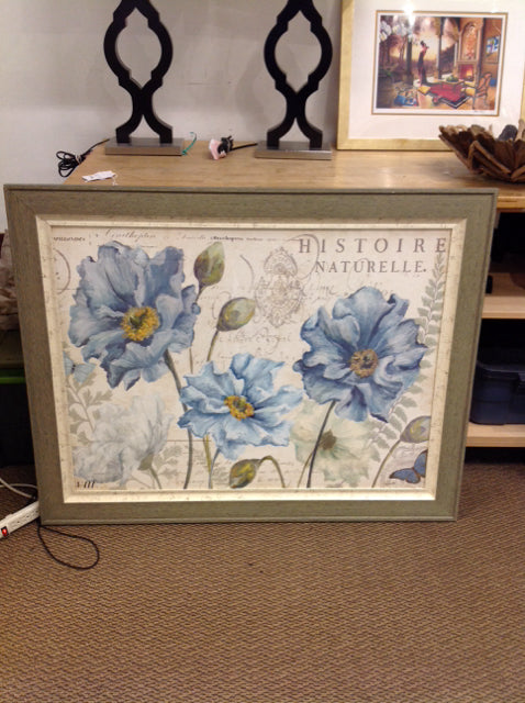47x37 Framed Blue Poppies Print on Paper