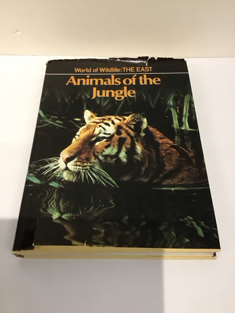 Animals of the Jungle Coffee Table Book