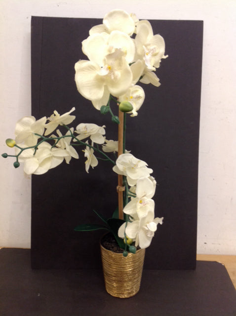 Silk Orchids in Gold Planter