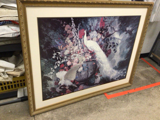 Floral Peacock/Parrot Print